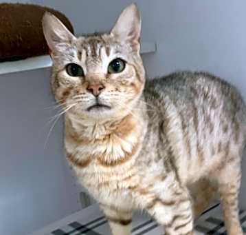 Photo of Lizzy