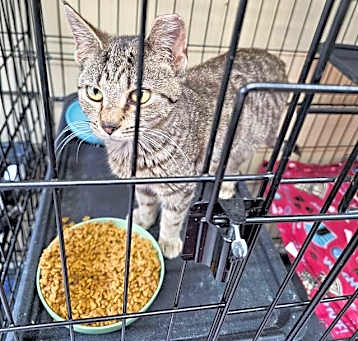 Photo of 0197 Lily (25-1409)