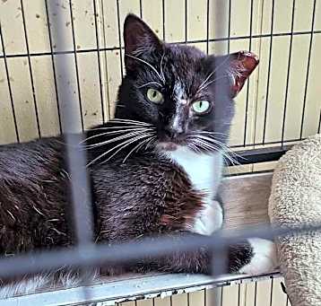 Photo of 291 Catrick Swayze (25-1472)