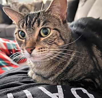 Photo of Duchess aka Tiny Tot