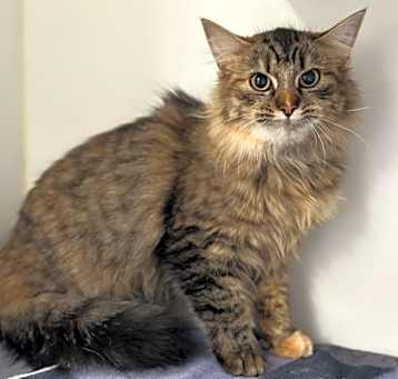 Photo of Freya