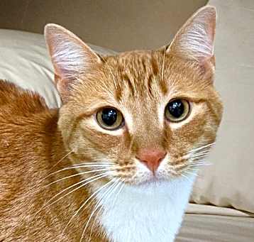 Photo of Sunny
