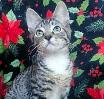 Photo of Christopher