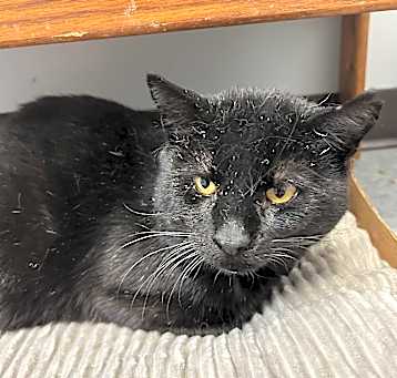 Photo of Edmund