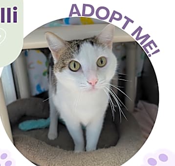 Photo of Calli
