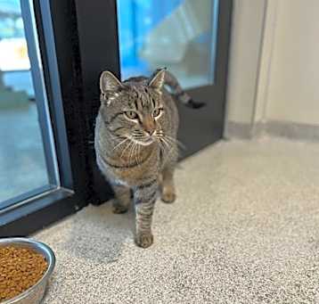 Photo of Scooter