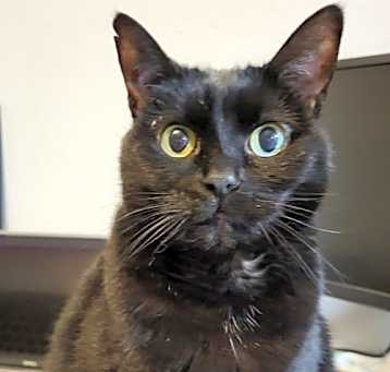 Photo of Sparta