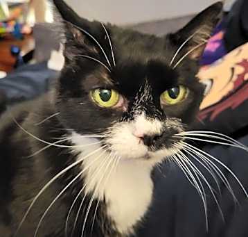 Photo of Timmi