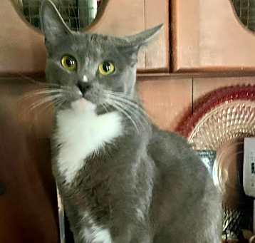 Photo of Sophie