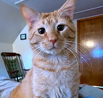 Photo of Winston