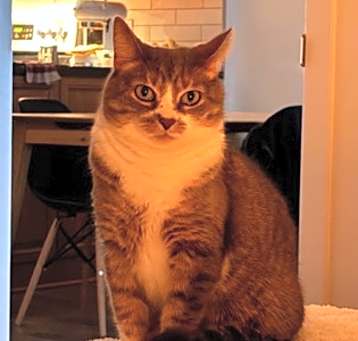 Photo of Betty