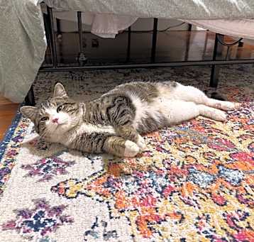 Photo of Kevin