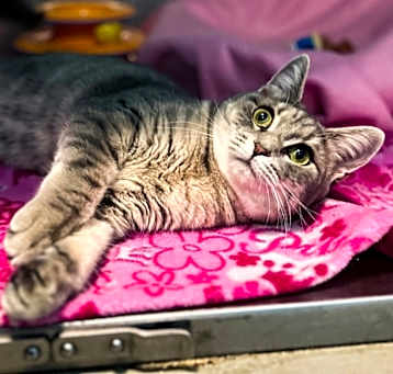 Photo of Penelope