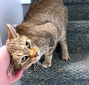 Photo of Delilah