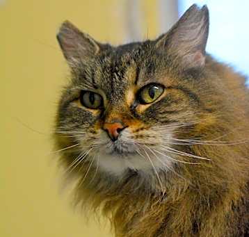Photo of Gina