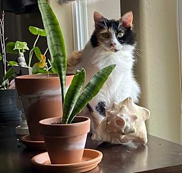 Photo of Zoe