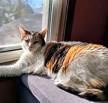Photo of Fiona