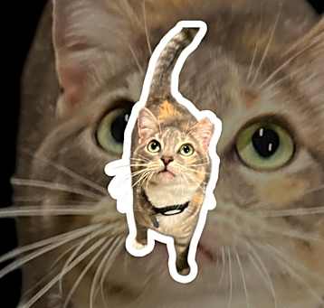 Photo of Molly