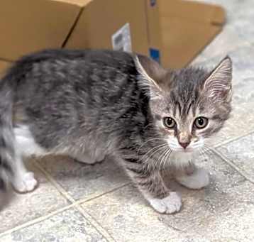 Photo of Natasha