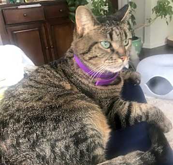Photo of Dottie
