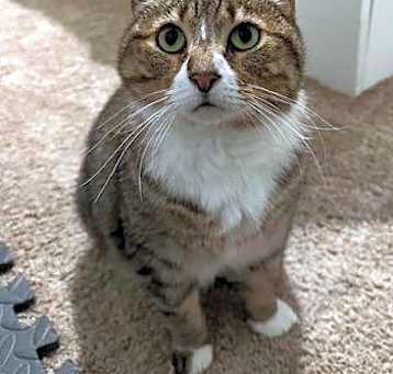 Photo of Mabel