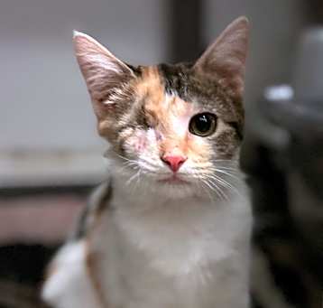 Photo of Izzie