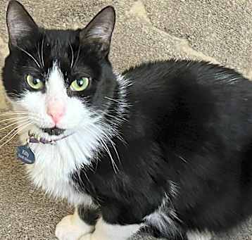 Photo of Kitty Scott Clause