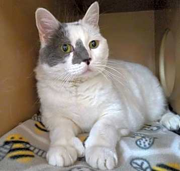 Photo of Chrystal