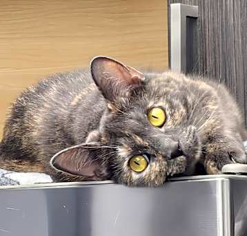 Photo of Sammi