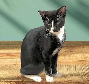 Photo of Asher