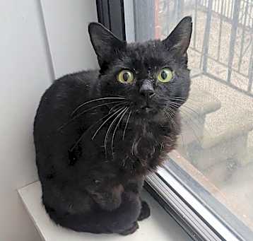 Photo of Rocket