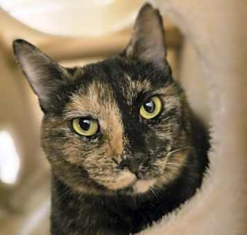 Photo of Harley