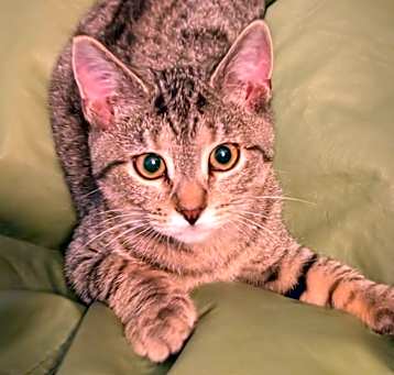 Photo of Ahoy