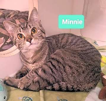 Photo of Minnie
