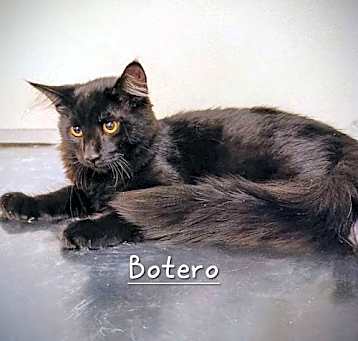Photo of Botero #Fernando