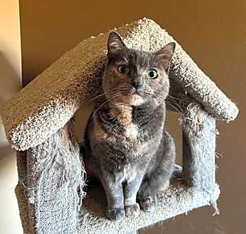 Photo of Sparkle