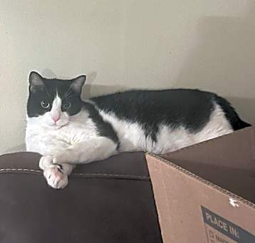 Photo of Papito