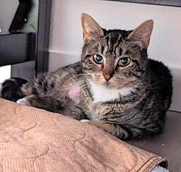 Photo of Maribelle