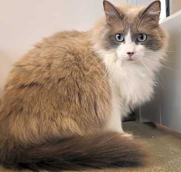 Photo of Aphrodite