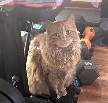 Photo of Quinn
