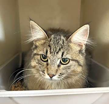 Photo of Ethel