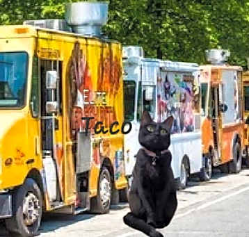 Photo of Taco #miss-foodie