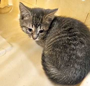 Photo of Storm