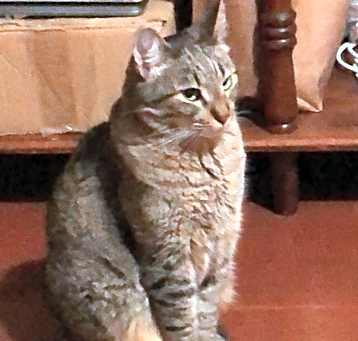 Photo of Tucker