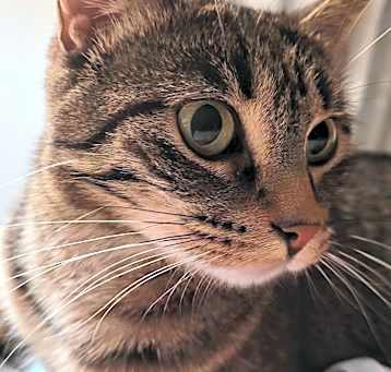 Photo of Baby Girl