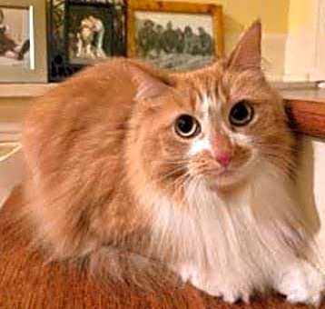 Photo of MOLLY