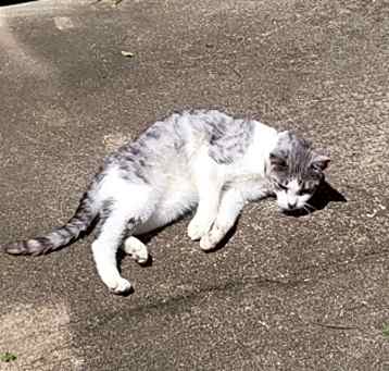 Photo of Wyatt
