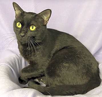 Photo of Lunar