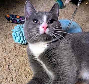 Photo of Louie