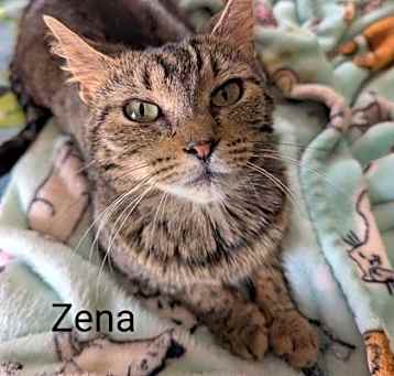 Photo of Zena